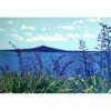 Coastal View Of Rangitoto Trp Sq
