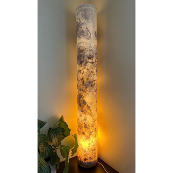 Metamorphic 2