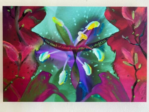 Cropped Be7fbaa4 2e75 40b2 B474 Cbda08357116.jpeg